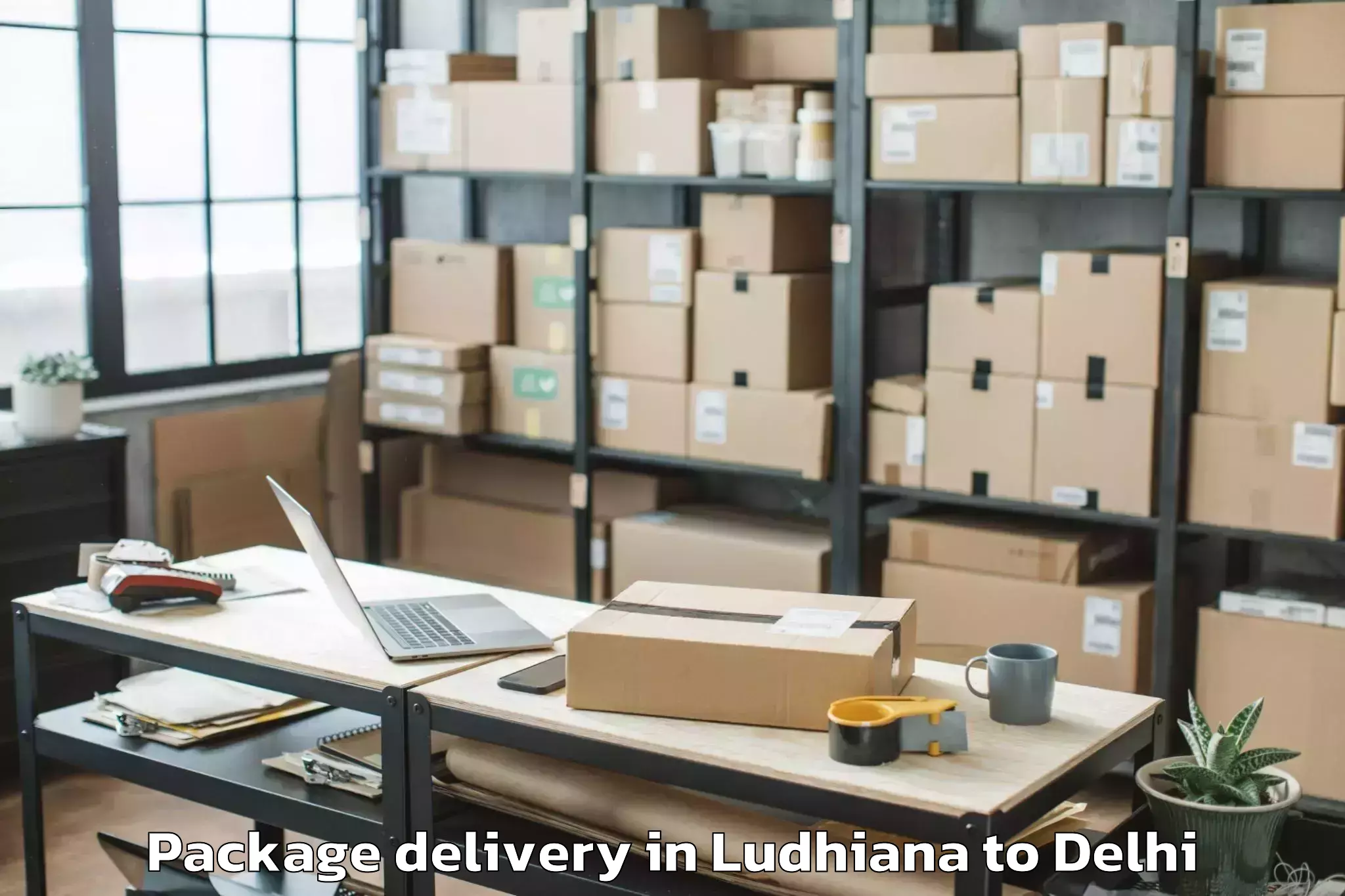 Expert Ludhiana to Parsvnath Mall Akshardham Package Delivery